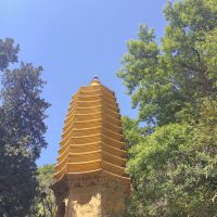 評論圖片 1
