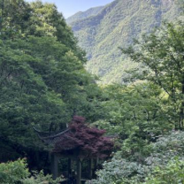 評論圖片 6