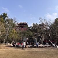 評論圖片 6