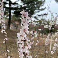 評論圖片 2