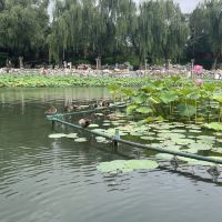 評論圖片 3