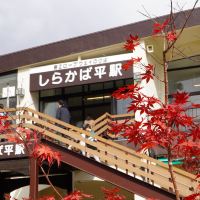 評論圖片 1