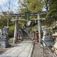 評論圖片 4
