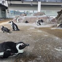 評論圖片 5