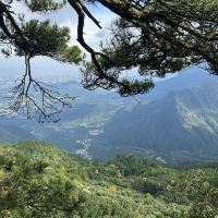 評論圖片 7