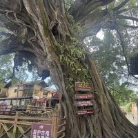 評論圖片 1