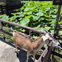 評論圖片 4