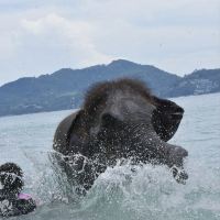 評論圖片 2