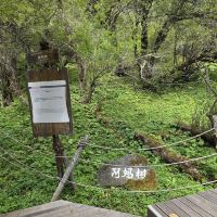 評論圖片 3