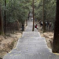 評論圖片 5