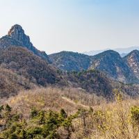 評論圖片 8