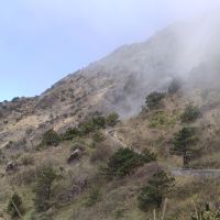 評論圖片 4
