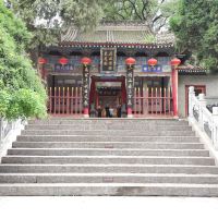 評論圖片 1
