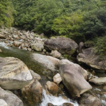 評論圖片 2