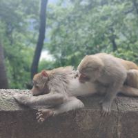 評論圖片 3