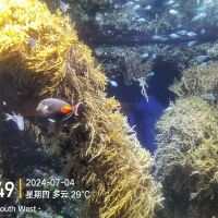 評論圖片 4