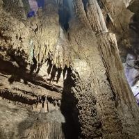 評論圖片 7