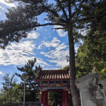 評論圖片 7