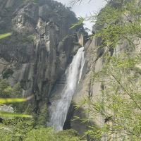 評論圖片 5