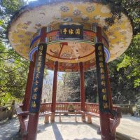 評論圖片 7