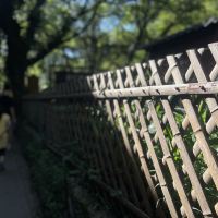 評論圖片 2