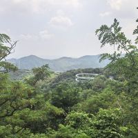 評論圖片 4