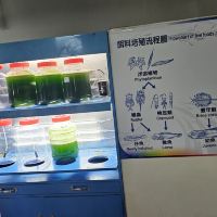 評論圖片 1