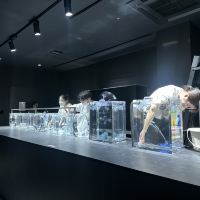 評論圖片 7