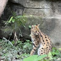 評論圖片 3