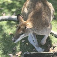 評論圖片 2