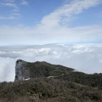評論圖片 2