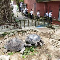 評論圖片 7