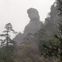 評論圖片 2