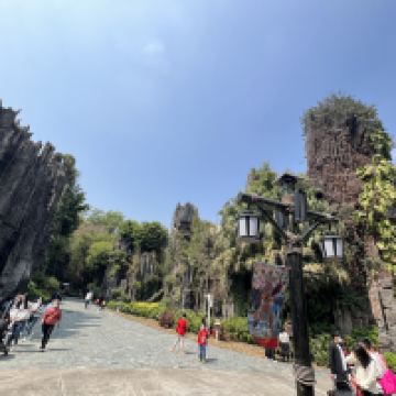 評論圖片 5