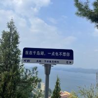 評論圖片 4