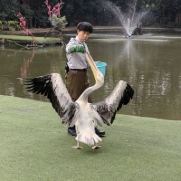 評論圖片 6
