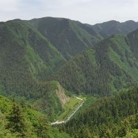 評論圖片 1