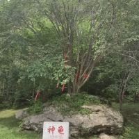 評論圖片 1
