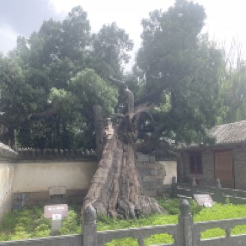 評論圖片 6