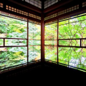 評論圖片 1