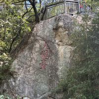 評論圖片 3