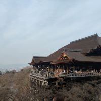 評論圖片 1