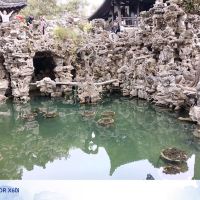 評論圖片 7
