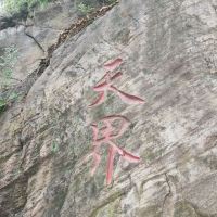 評論圖片 8
