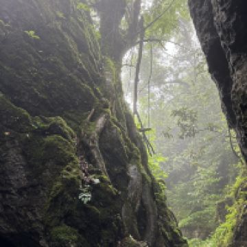 評論圖片 4