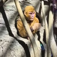 評論圖片 3