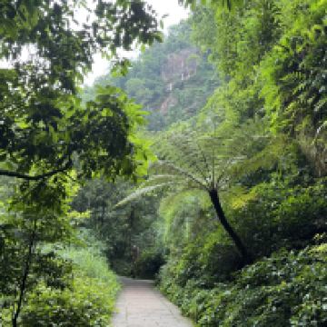 評論圖片 2