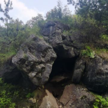 評論圖片 6