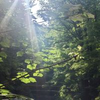 評論圖片 1