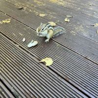 評論圖片 9